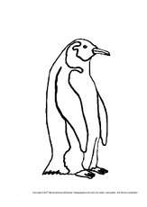 Pinguin.pdf